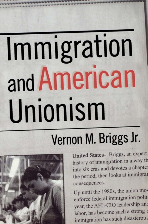 Cover image for book Immigration and American Unionism