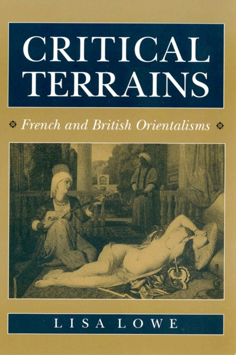 Cover image for book Critical Terrains