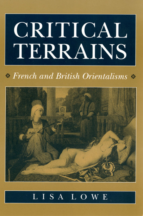 Cover image for book Critical Terrains