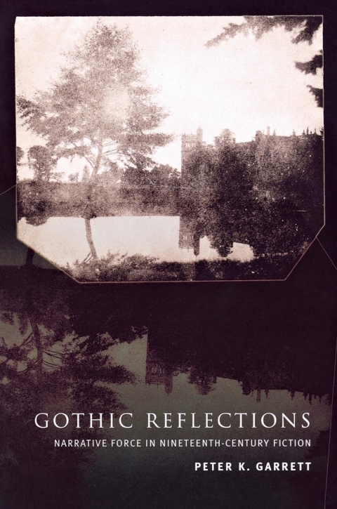 Cover image for book Gothic Reflections