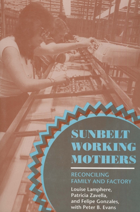 Cover image for book Sunbelt Working Mothers