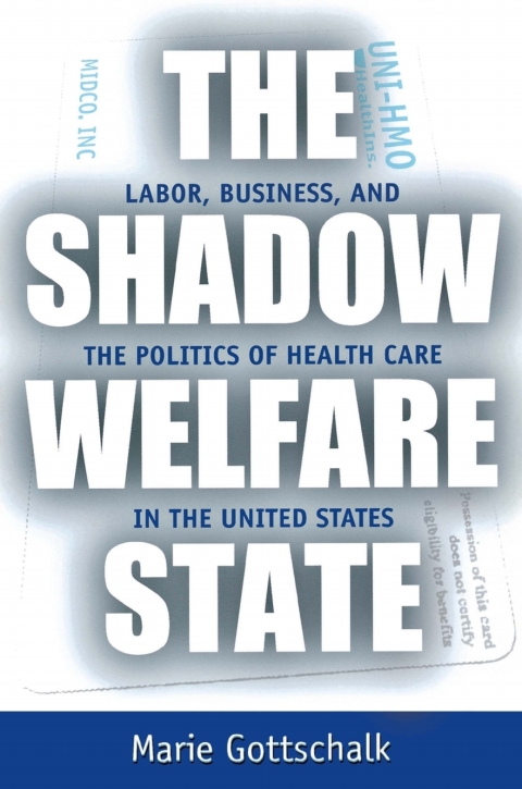 Cover image for book The Shadow Welfare State