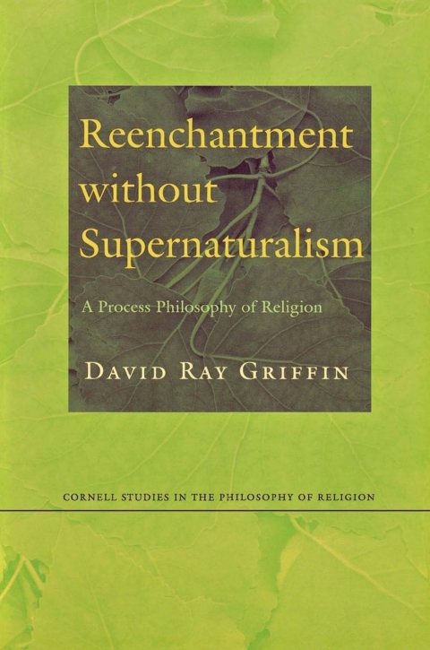 Cover image for book Reenchantment without Supernaturalism