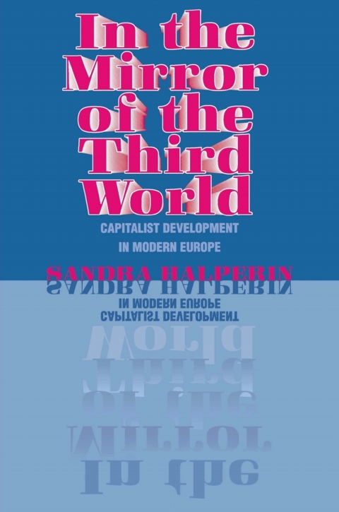 Cover image for book In the Mirror of the Third World