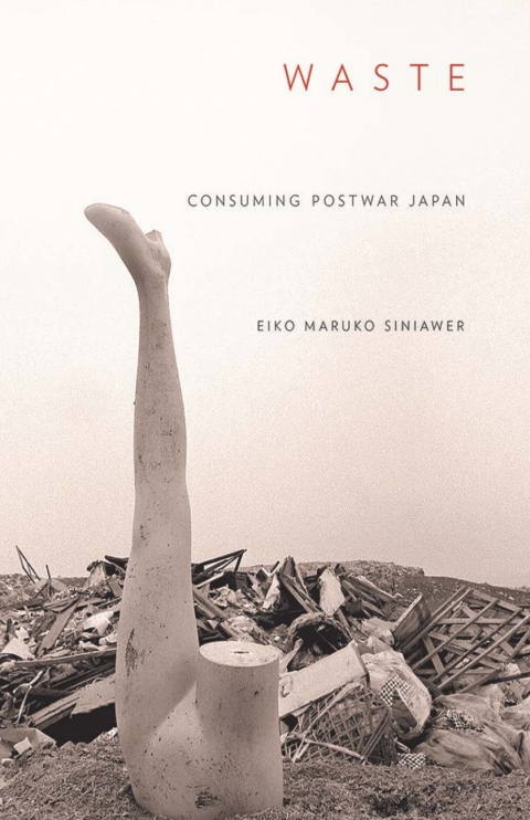Cover image for book Waste