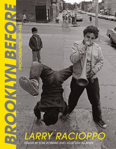 Cover image for book Brooklyn Before