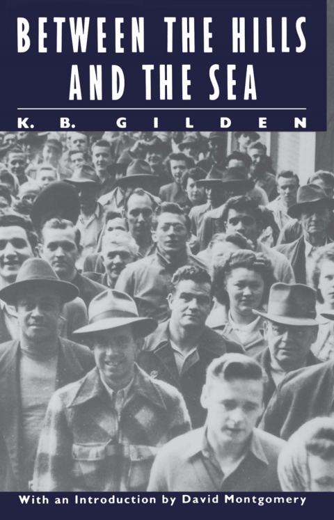 Cover image for book Between the Hills and the Sea