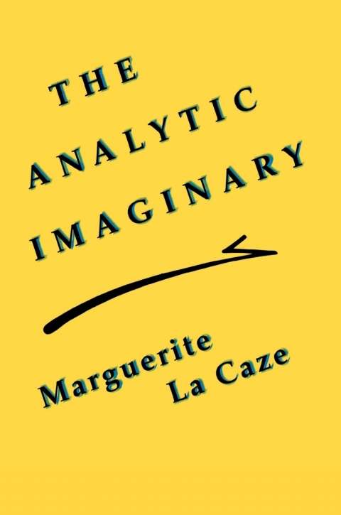Cover image for book The Analytic Imaginary
