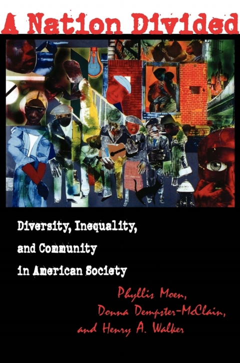 Cover image for book A Nation Divided