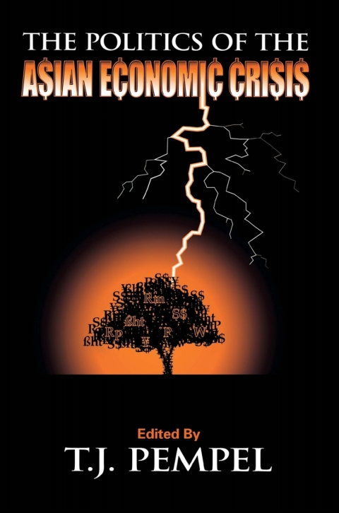 Cover image for book The Politics of the Asian Economic Crisis