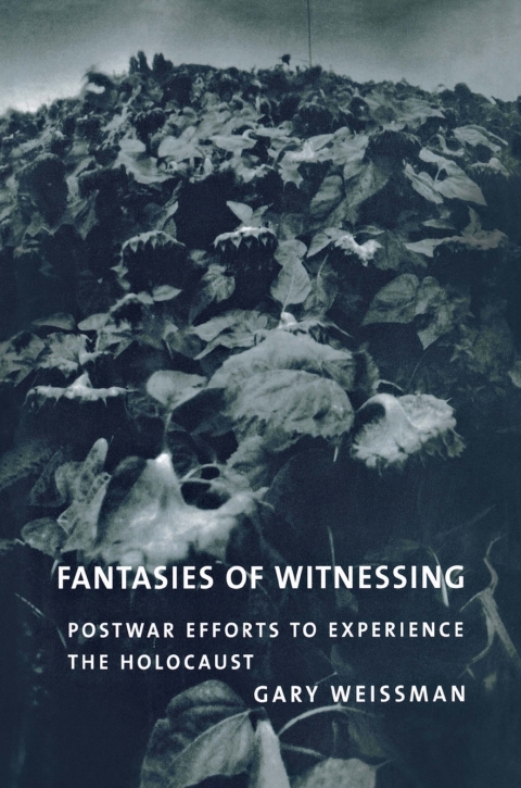 Cover image for book Fantasies of Witnessing