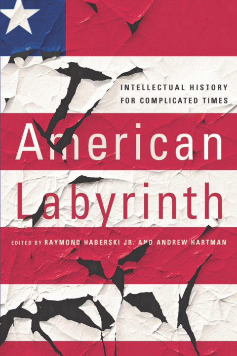 Cover image for book American Labyrinth