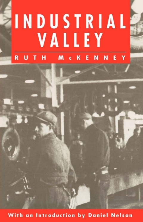 Cover image for book Industrial Valley