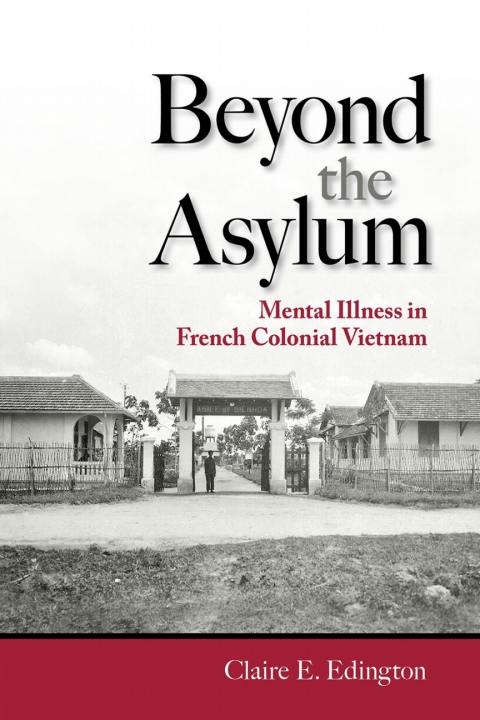 Cover image for book Beyond the Asylum