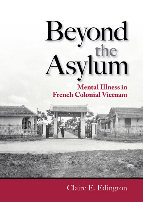 Cover image for book Beyond the Asylum