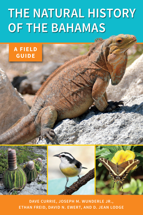 Cover image for book The Natural History of The Bahamas
