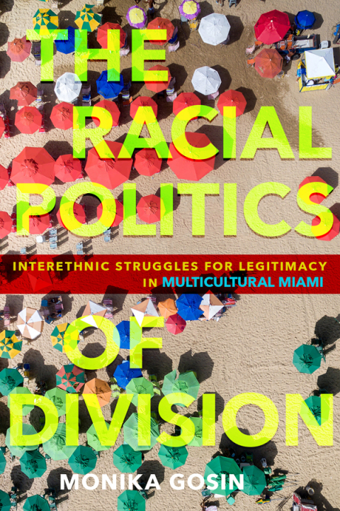 Cover image for book The Racial Politics of Division