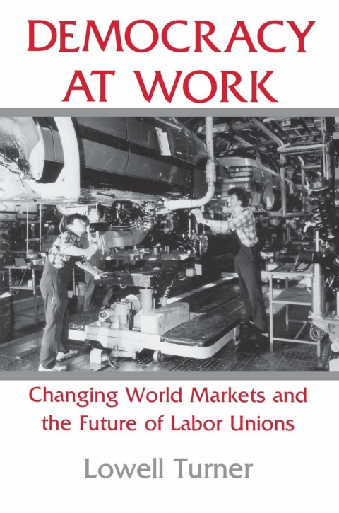 Cover image for book Democracy at Work