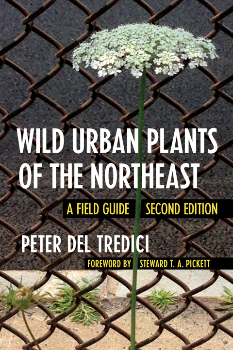 Cover image for book Wild Urban Plants of the Northeast