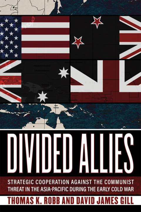 Cover image for book Divided Allies