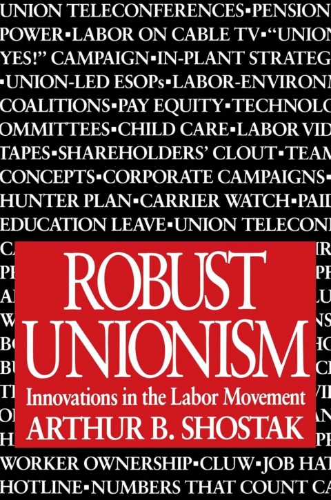 Cover image for book Robust Unionism