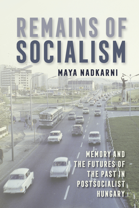 Cover image for book Remains of Socialism