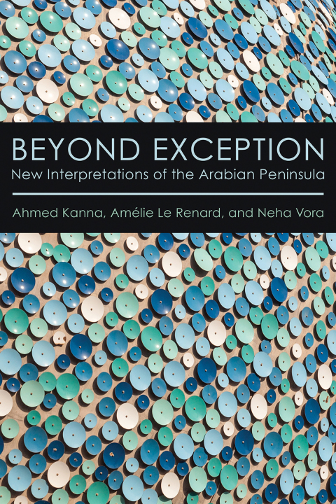 Cover image for book Beyond Exception