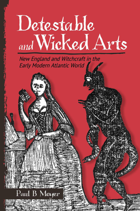Cover image for book Detestable and Wicked Arts