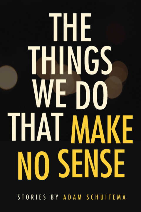 Cover image for book The Things We Do That Make No Sense
