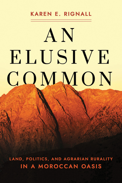 Cover image for book An Elusive Common