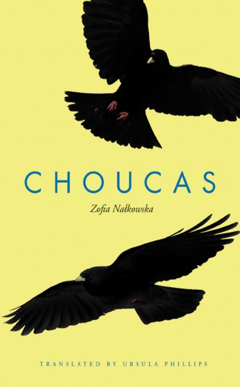 Cover image for book Choucas