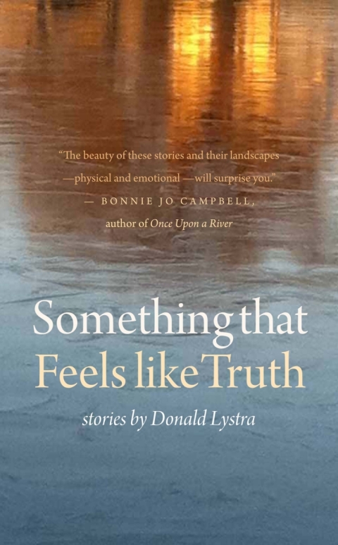 Cover image for book Something That Feels Like Truth