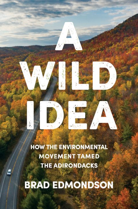 Cover image for book A Wild Idea