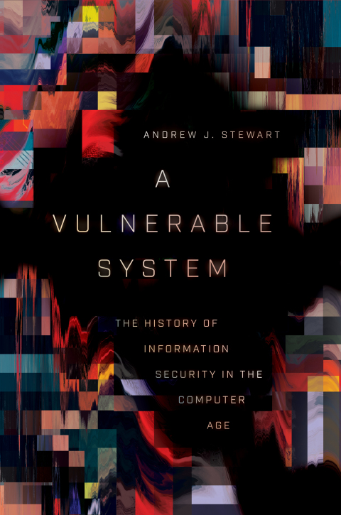 Cover image for book A Vulnerable System