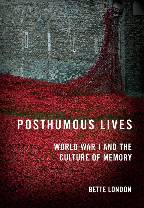 Cover image for book Posthumous Lives