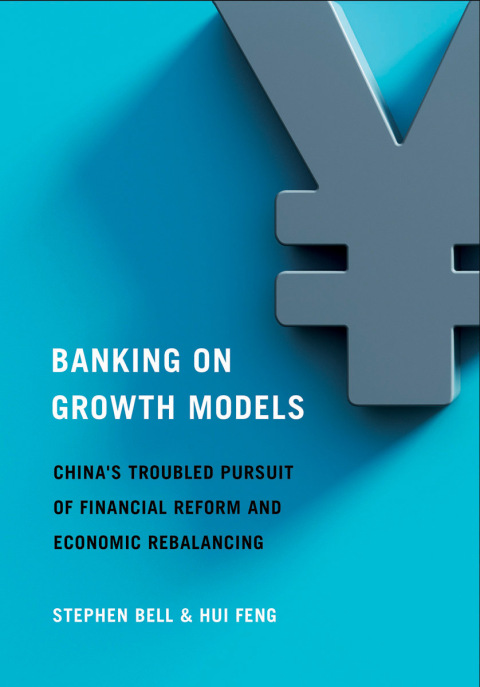Cover image for book Banking on Growth Models