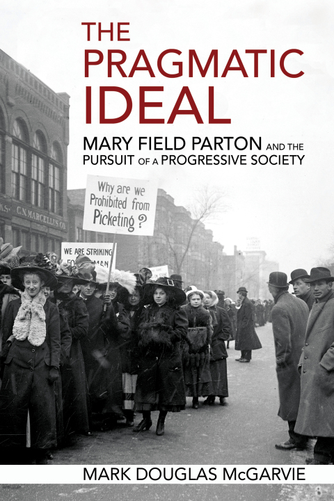 Cover image for book The Pragmatic Ideal