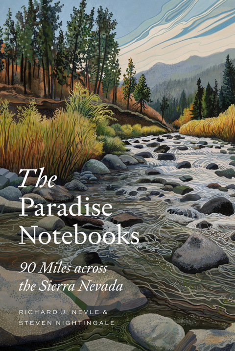 Cover image for book The Paradise Notebooks