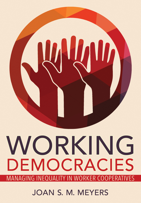 Cover image for book Working Democracies