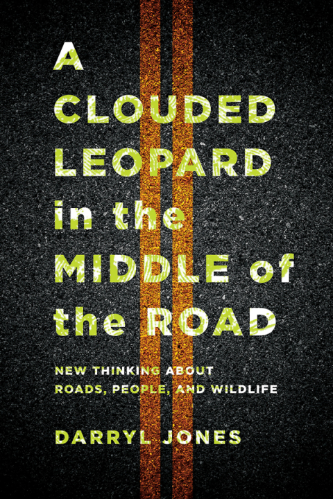 Cover image for book A Clouded Leopard in the Middle of the Road