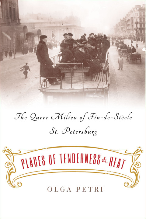 Cover image for book Places of Tenderness and Heat