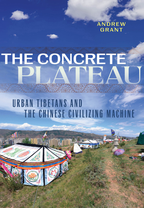 Cover image for book The Concrete Plateau