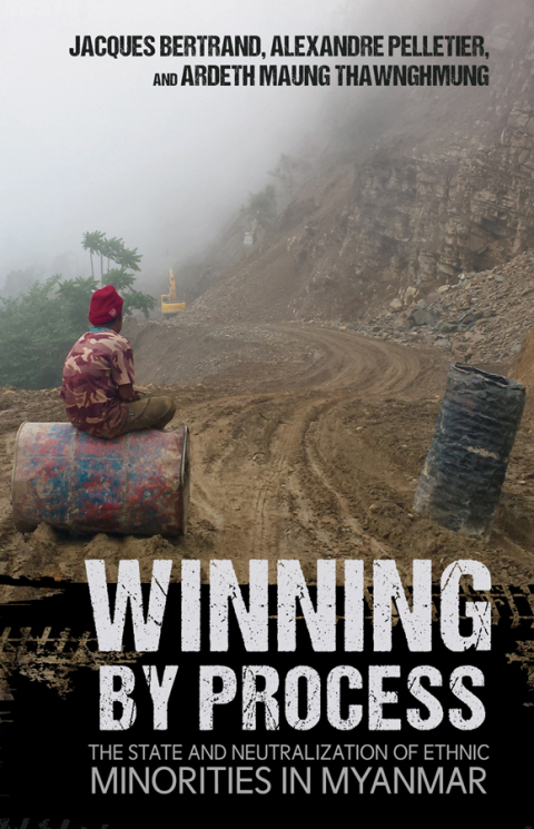 Cover image for book Winning by Process