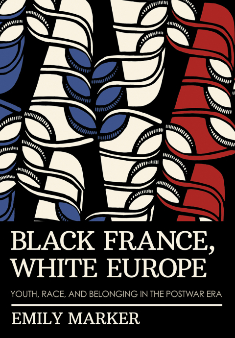 Cover image for book Black France, White Europe
