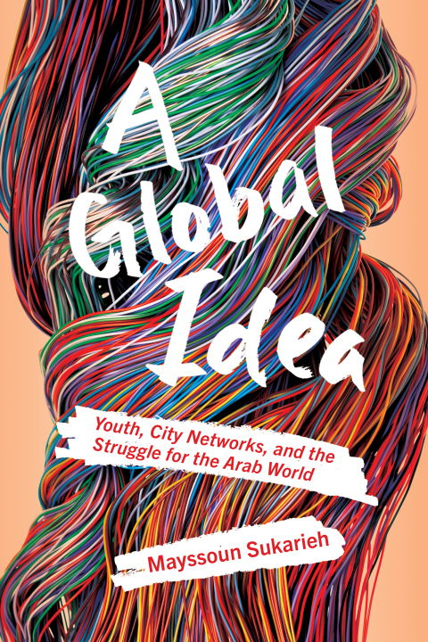 Cover image for book A Global Idea