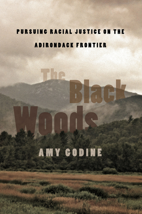 Cover image for book The Black Woods