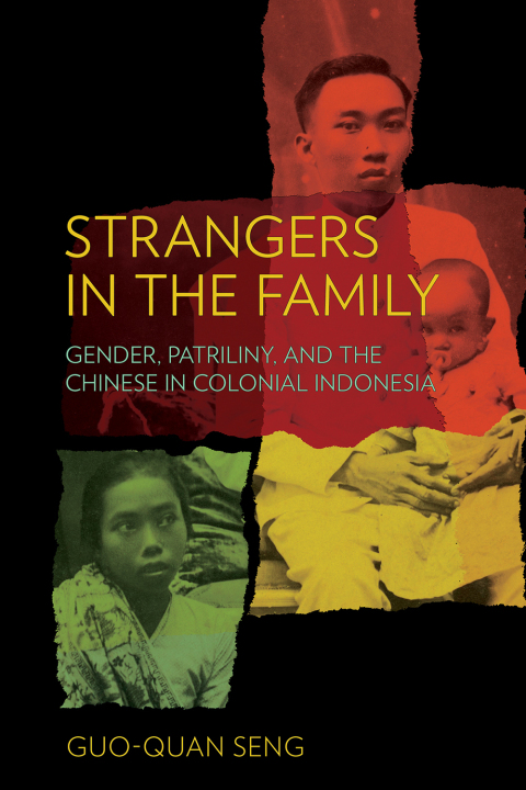 Cover image for book Strangers in the Family