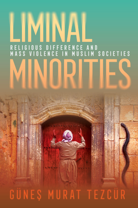 Cover image for book Liminal Minorities