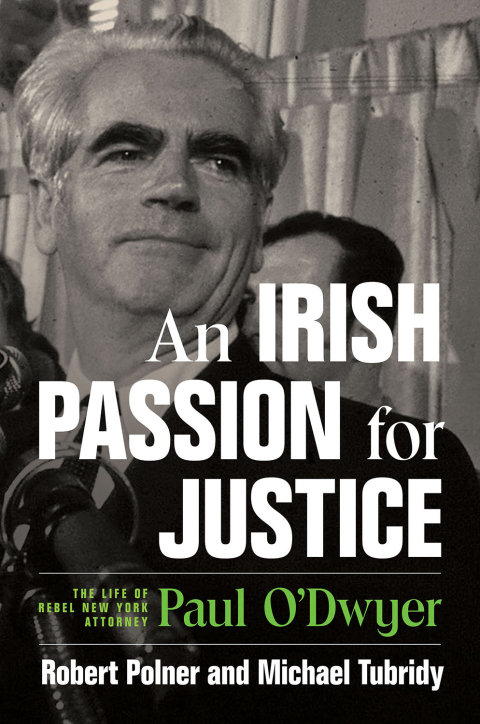 Cover image for book An Irish Passion for Justice