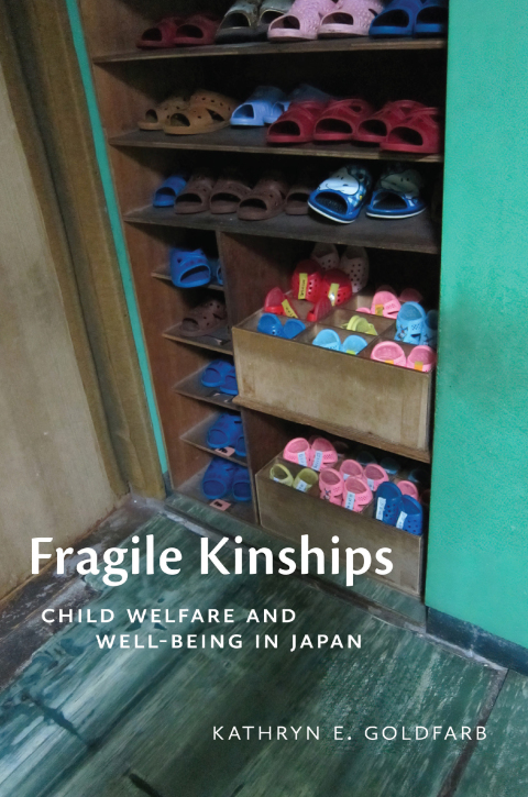 Cover image for book Fragile Kinships